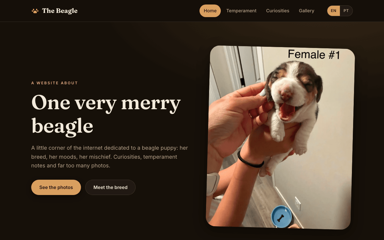 Pet Blog & Photo Gallery — Bilingual pet blog & photo gallery